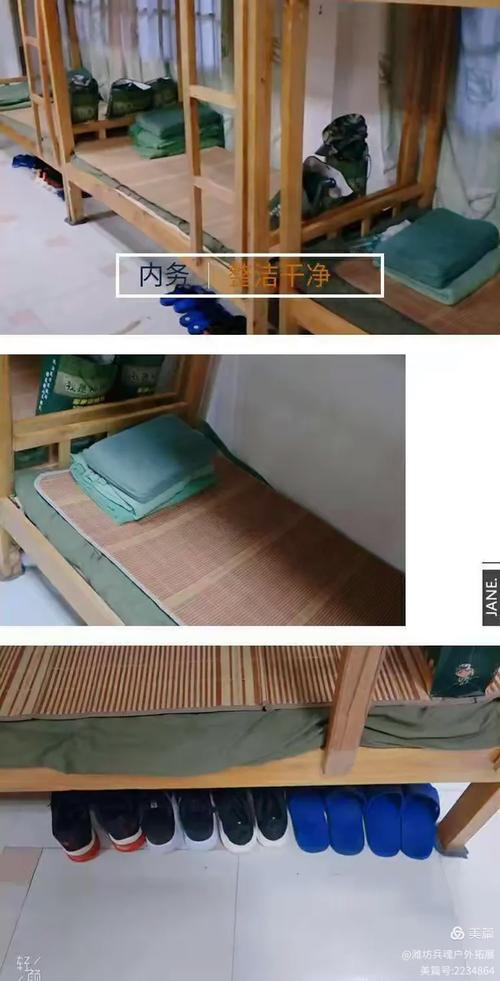 翰呜桐辰 潍坊辰桐教育的教育之星
